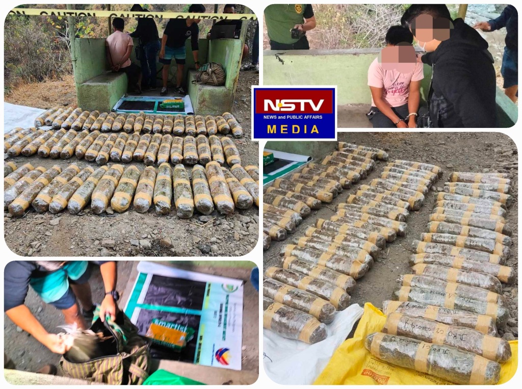 Multi-Million Peso Marijuana Bust Rocks Tuba, Benguet